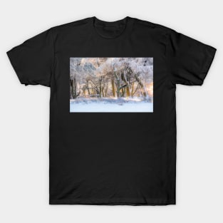 Winter wonderland T-Shirt